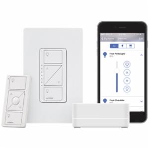 Lutron® P-BDG-PKG1W